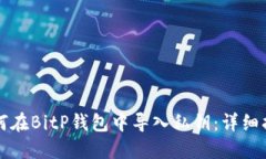 如何在BitP钱包中导入私钥：详细指南