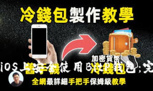 如何在iOS上安全使用BitP钱包:完整指南