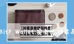全面解析BitP Wallet：安全性、功能与使用指南