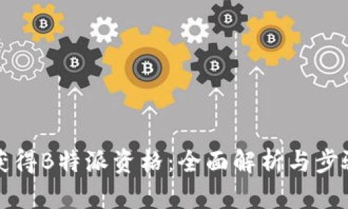 如何获得B特派资格:全面解析与步骤指导