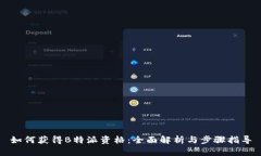 如何获得B特派资格：全面解析与步骤指导
