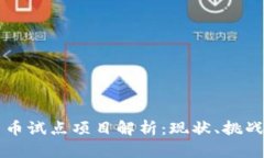 美国加密货币试点项目解析：现状、挑战与未来