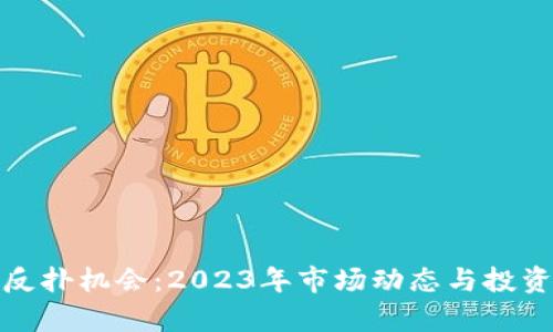 加密货币反扑机会:2023年市场动态与投资策略分析