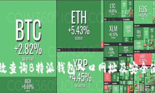 如何有效查询B特派钱包入口网址及安全使用指南