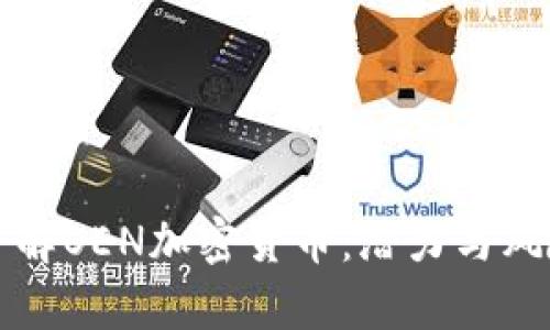 深入了解OEN加密货币：潜力与风险分析