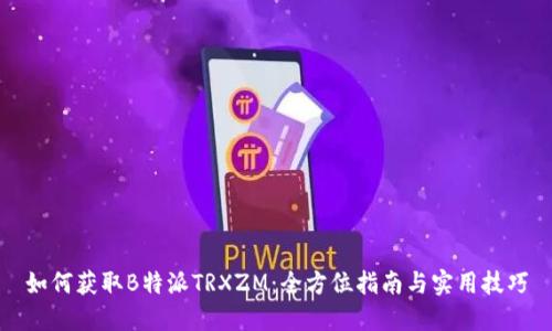 如何获取B特派TRXZM:全方位指南与实用技巧