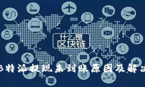 解析B特派提现未到账原因及解决方法
