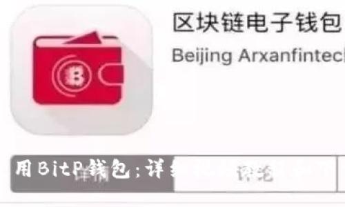 如何使用BitP钱包:详细视频教程和下载指南
