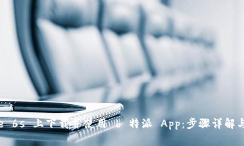如何在 iPhone 6s 上下载并使用 b 特派 App：步骤详解与常见问题解析