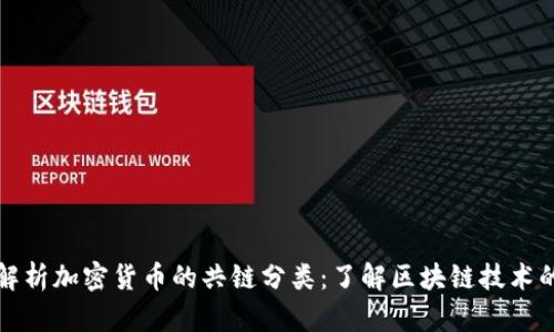 全面解析加密货币的共链分类:了解区块链技术的未来