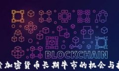 探索加密货币长期牛市的机会与挑战