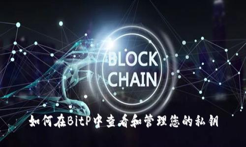 如何在BitP中查看和管理您的私钥